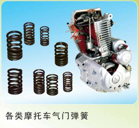 各類摩托車(chē)氣門(mén)彈簧